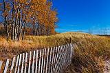 Autumn Dunes_09150